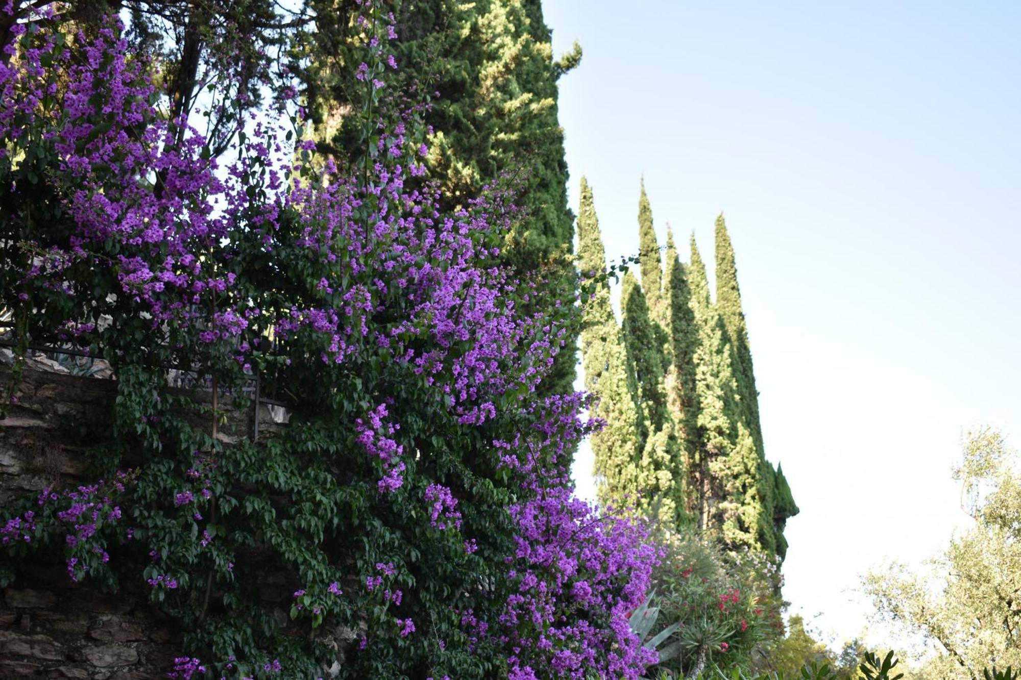 Marierose - Rebomaholidays Toscolano-Maderno